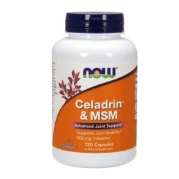 Celadrin & MSM 120 cápsulas Now